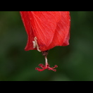 Es lohnt sich ein Blick auf Details